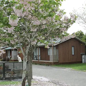 https://219-on-johns-motel-holiday-park.top-hotels-christchurch.com